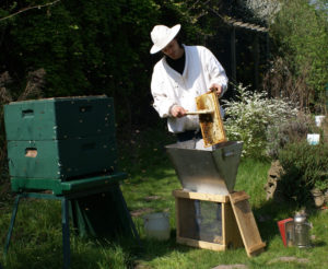 Imkermeister Lars Meyke an einem Bienenstock